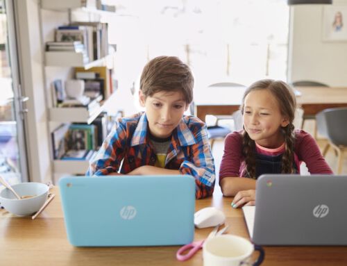 Pflichtfach Informatik startet an 28 Pilotschulen in Rheinland-Pfalz